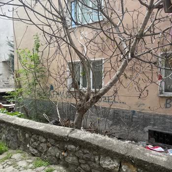 Altındağ Belediyesi Ev İle İlgili Şikayeti