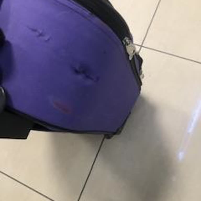 Pegasus zerstörte meinen Koffer und lehnt jede Verantwortung ab, keine Entschädigung