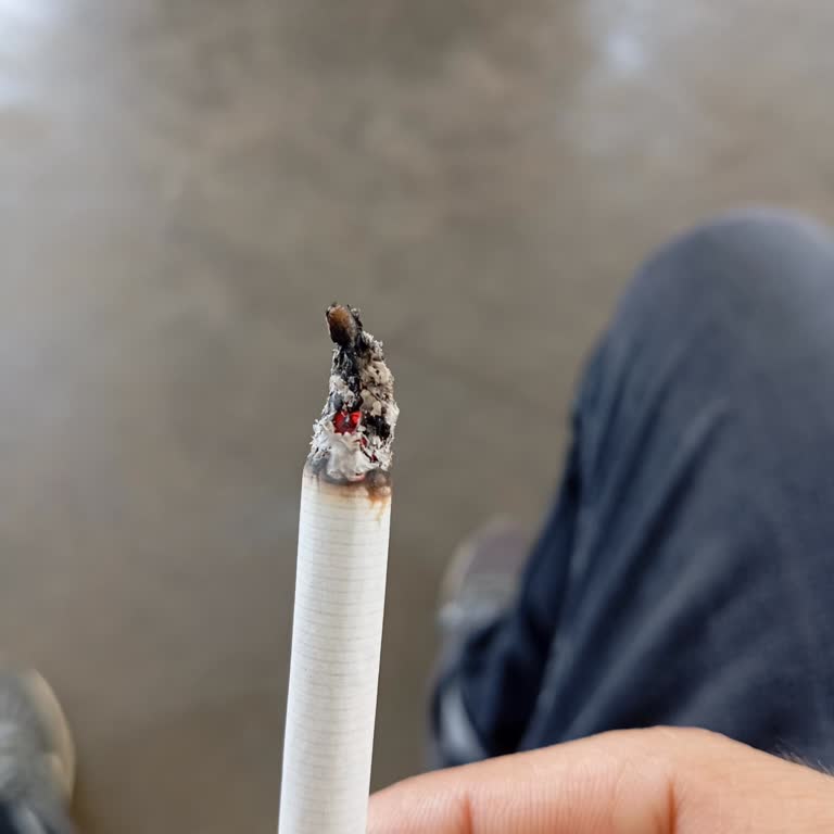 Parliament Sigaralarda Kalite Düşüşü Ve Yabancı Maddeler