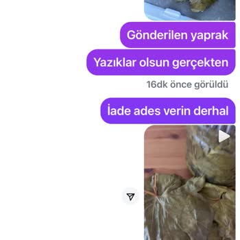 Sipariş Ettiğim Asma Yaprakları Hem Bozuk Geldi Hem De Engellendim