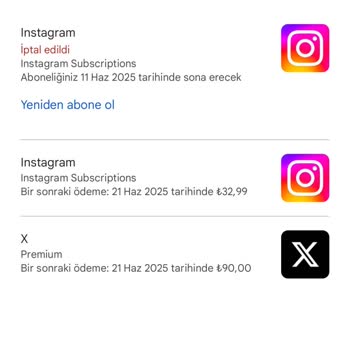 Premium Abonelikte Mavi Tik Onayı Gecikiyor, Destek Alınamıyor