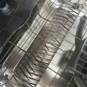 Franke Bulaşık Makinesinde Paslanma Ve Yüksek Sepet Değişim Ücreti