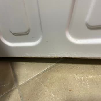 8 Ayda Paslanan Vestel Çamaşır Makinesi İçin Değişim Talebim Reddedildi: Mağduriyet Yaşıyorum