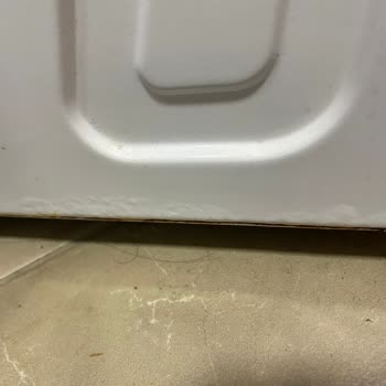 8 Ayda Paslanan Vestel Çamaşır Makinesi İçin Değişim Talebim Reddedildi: Mağduriyet Yaşıyorum