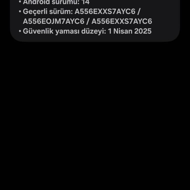 Samsung Güncellemeleri Neden Geç Geliyor