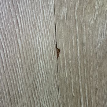 Koru Sigorta'nın Yönlendirdiği Firma Nedeniyle Evde Devam Eden Mağduriyet Ve Yetersiz Hasar Onarımı