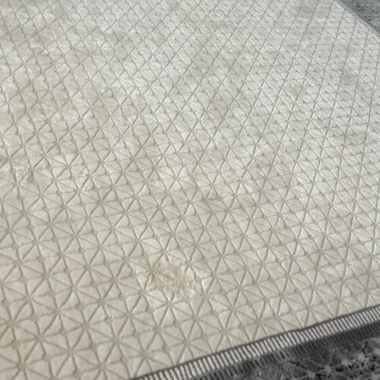 Satın Aldığım Halı Beklentilerimi Karşılamadı, Müşteri Hizmeti Yetersiz