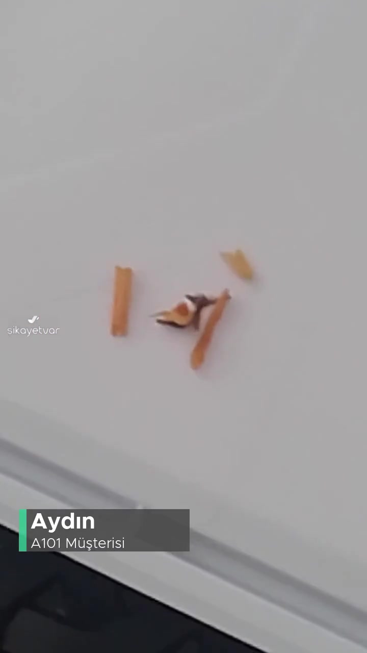 A101 Çokça Kahvaltılık Sostan Kibrit Odunu Çöpü Çıktı! videonun kapak resmi