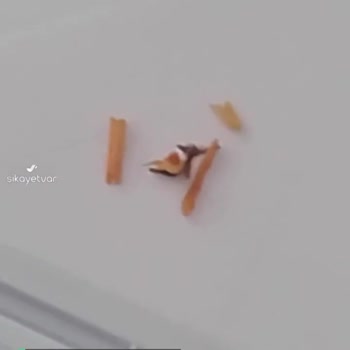 A101 Çokça Kahvaltılık Sostan Kibrit Odunu Çöpü Çıktı!