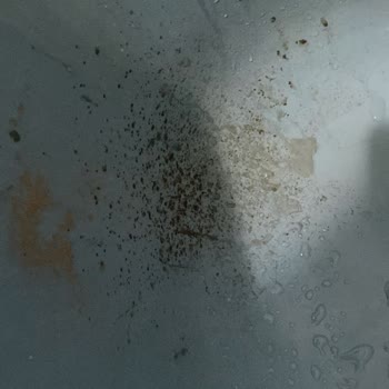 Servisten Pis Ve Onarımı Şüpheli Süpürge Teslimi