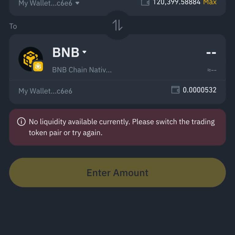 Binance Wallet'ta Halka Arz Coin Swap Ve Transfer Sorunu: Likidite Hatası Ve Destek Talebi
