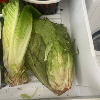 Siemens Buzdolabım Sürekli Arızalanıyor, Servisten Çözüm Alamıyorum