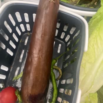 Siemens Buzdolabım Sürekli Arızalanıyor, Servisten Çözüm Alamıyorum