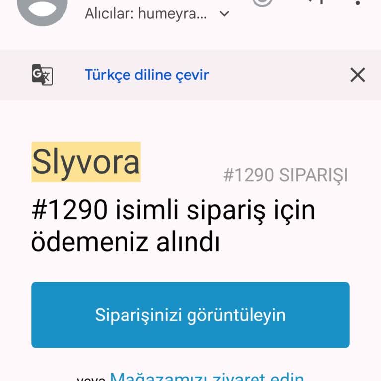 Slyvora Neredeyse 1 Ay Olacak Hala Siparişim Bana Ulaşmadı