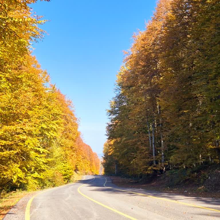 Samsung Galaxy S24'te 'Cihaz Desteklenmiyor' Hatası Ve Analog Destek Sorunu