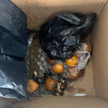 Yurtiçi Kargo Bir Hafta Sürekli Bu Kargoyla Uğraştım Ama Kimse Dinlemedi, Yardımcı Olmadı
