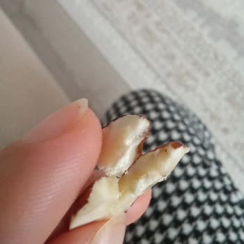 Çiğ Bademin İçinden Kurt Çıkmasıyla Yaşanan Hayal Kırıklığı