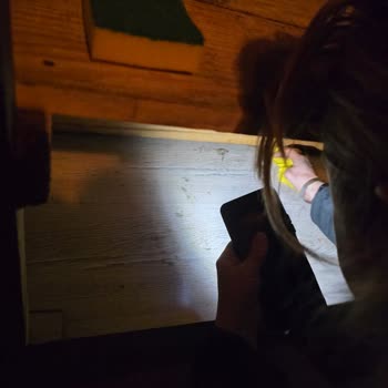 Sapanca Greenhouse Bungalov'da Kötü Temizlik Ve İlgisiz Hizmet Deneyimi