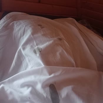 Sapanca Greenhouse Bungalov'da Kötü Temizlik Ve İlgisiz Hizmet Deneyimi