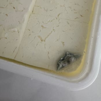 BİM'den Alınan Süzme Peynirin Küflü Çıkması Hayal Kırıklığı Yarattı