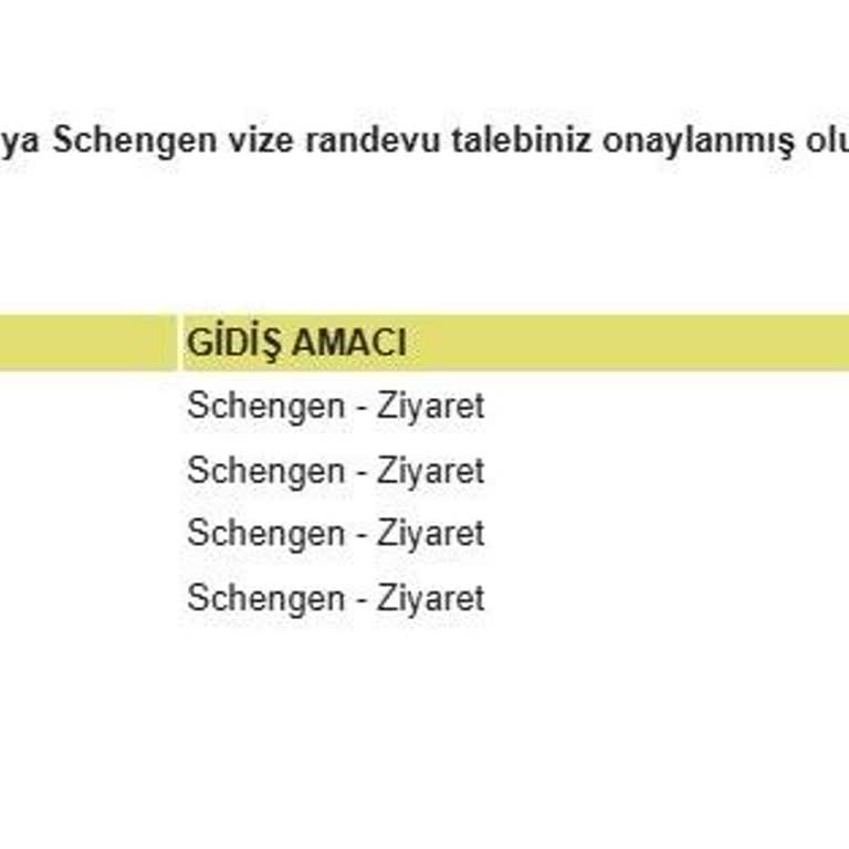 Almanya Vizesi İçin 6 Ayı Aşan Randevu Bekleyişi Ve Mağduriyet
