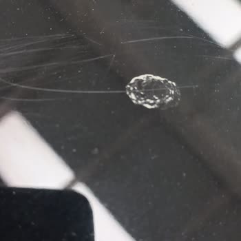 My 2022 Opel’s Hood Paint Peeled from Bird Droppings but Opel Won’t Cover It