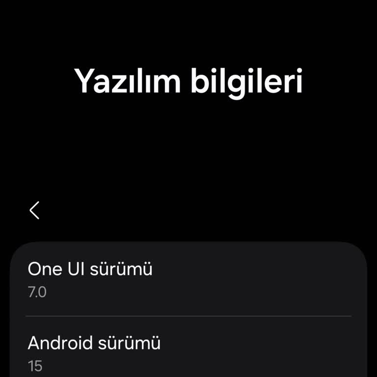 Samsung S23 Ultra Güncellemesi Sonrası Pil Ve Ekran Sorunları Yaşıyorum