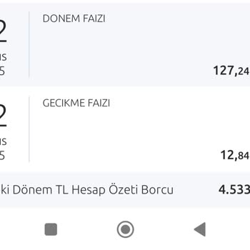 Kredi Kartı Borcuna Haksız Gecikme Ve Dönem Faizi Uygulandı