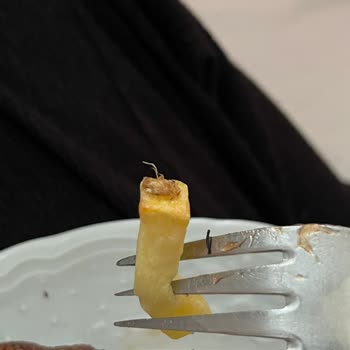 Aldığım Patateste Böcek Çıktı Hijyen Konusunda Endişeliyim