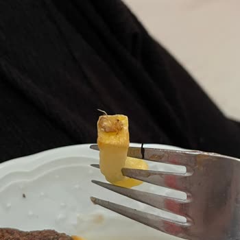 Aldığım Patateste Böcek Çıktı Hijyen Konusunda Endişeliyim