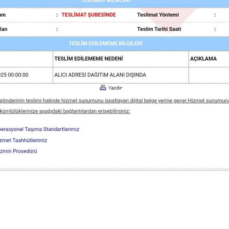 Teslim Edilmeyen Kargo Ve Anlamsız Dağıtım Alanı Sorunu