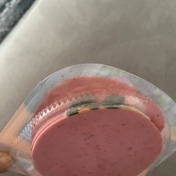 Tarihi Geçmemiş Salamın Açılmadan Küflenmesi Mağduriyet Yarattı