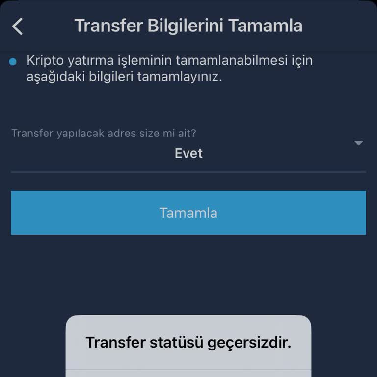 Transfer İşlemi Saatlerdir Gerçekleşmiyor, Müşteri Hizmetlerinden Yanıt Alamıyorum