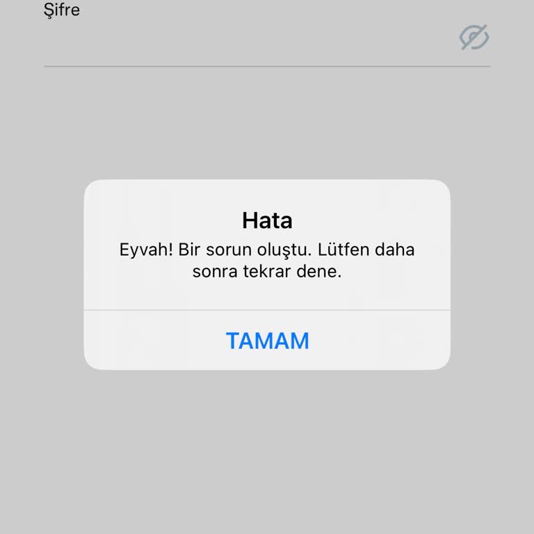 Twitter Uygulamasında Giriş Ve Mesaj Görüntüleme Sorunu Yaşanıyor