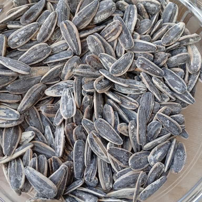 Tadım Çekirdeğin Kalitesi Eskisi Gibi Değil