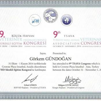 @Defneninkuzulari Kedi Sahiplendirme Diye Yanıltıyor