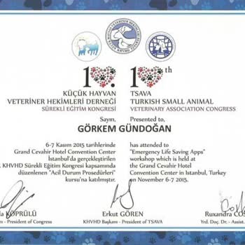 @Defneninkuzulari Kedi Sahiplendirme Diye Yanıltıyor