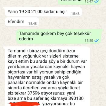 @Defneninkuzulari Kedi Sahiplendirme Diye Yanıltıyor