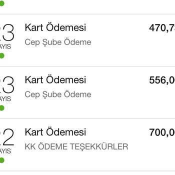 Ödenen Kredi Kartı Borcum Hala Silinmedi