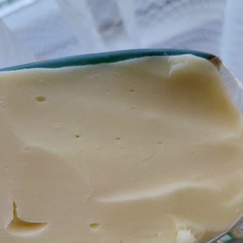 Kaşar Peynirinden Çıkan Kıl Ve Hijyen Zafiyetiyle İlgili Endişe