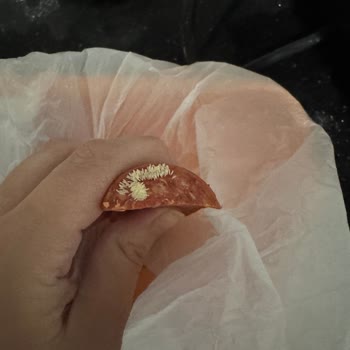 Aldığım Sucukta Kurt Çıktı, Mağduriyetim Giderilmiyor