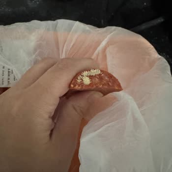 Aldığım Sucukta Kurt Çıktı, Mağduriyetim Giderilmiyor