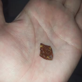 Patos Cipsin İçinden Yanmış Ve Bozulmuş Ürünler Çıktı, Hijyen Endişesi Yaşadım