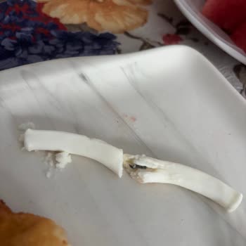 Çubuk Peynirin İçinden Çıkan Yay Ailemi Endişelendirdi