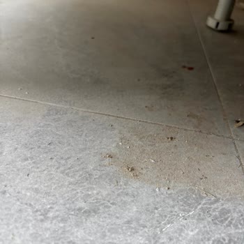 Güntekin Temizlik Hizmetleri Manisa Alınan Hizmetten Hiç Memnun Kalmadım
