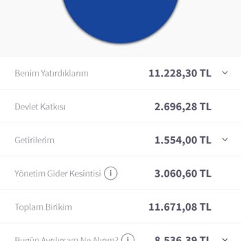 BES'te Yatırımım Eriyor, Bilgilendirme Eksikliği Ve Yüksek Kesintilerden Şikayetçiyim