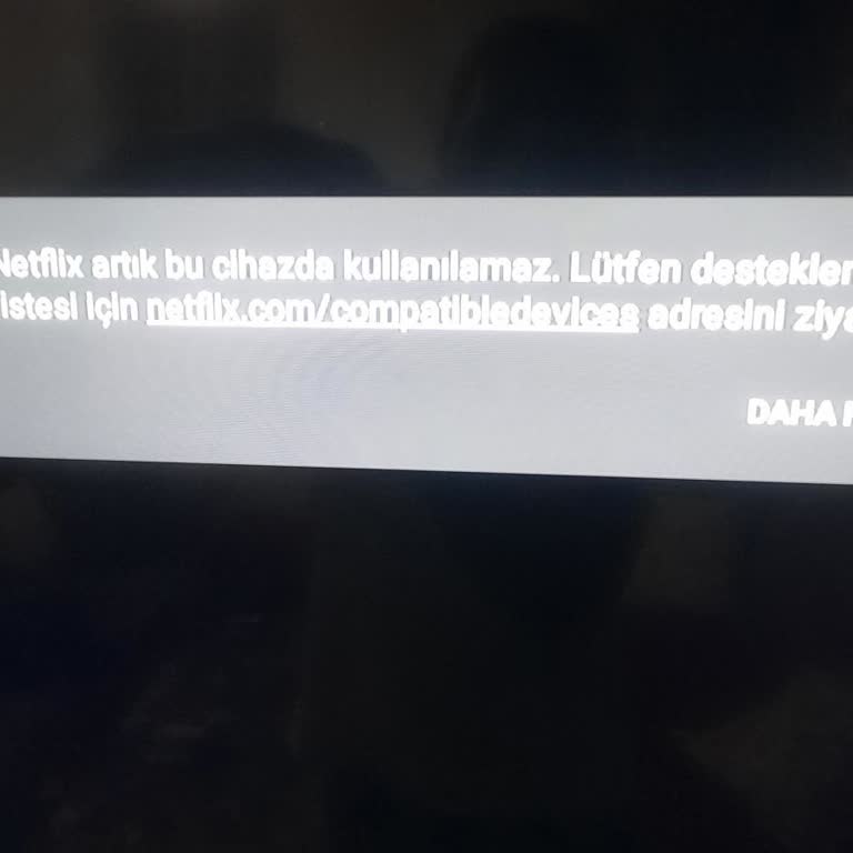Skytech Televizyonumda Netflix Bağlantı Sorunu Yaşanıyor