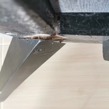 Vivense Oturma Grubunda Kalitesiz Malzeme Ve Yetersiz Müşteri Hizmeti Mağduriyeti