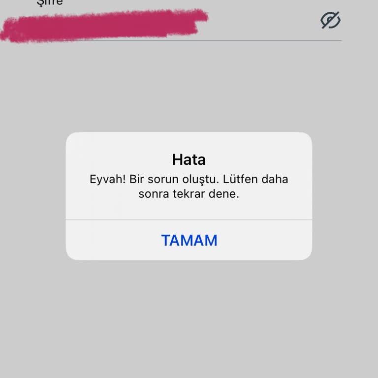 X Hesabımda Uygulama Üzerinden Giriş Sorunu Yaşıyorum