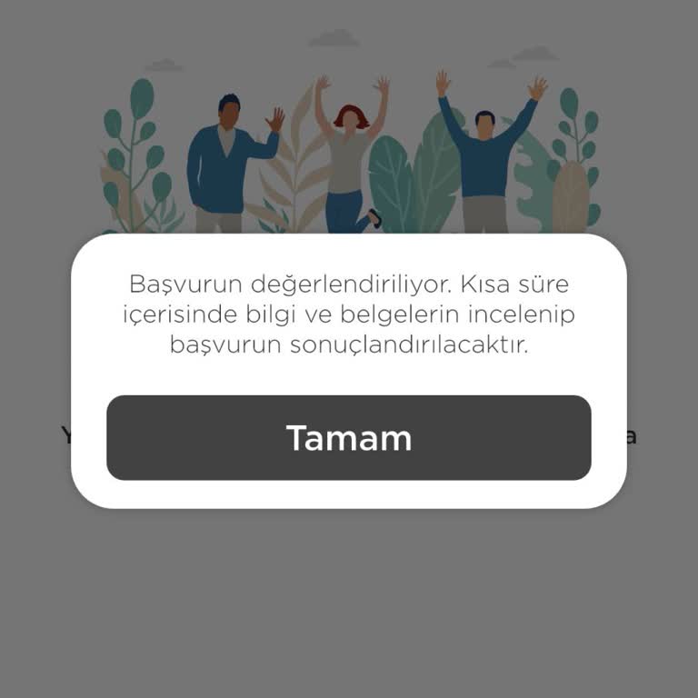Martı Tag Başvurusu Bir Yıldır Onaylanmıyor, Desteğe Ulaşılamıyor